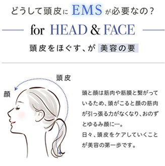 ＥＭＳ　Brush Air（EMSブラシエア）